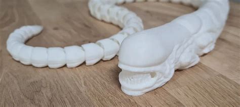 Image result for Alien Xenomorph Chest