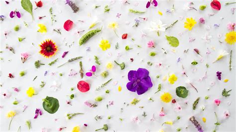 Most Asked YouTuber Questions - YouTube Creators Aesthetic Background