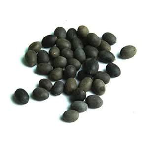 Buy NEERAJ - Lotus Seed - Kamal beej - Kamal Gatta seed - Nelumbo ...