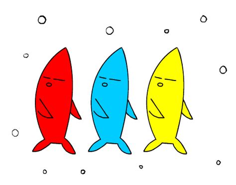 Image result for Fish Dance Python