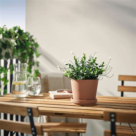 FEJKA artificial potted plant, in/outdoor/flowering white, 12 cm (4 ¾ ...