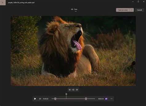 Open MP4 Trim File 的图像结果