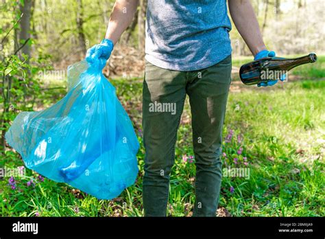 Image result for Clean Forest Command Minecraft Java