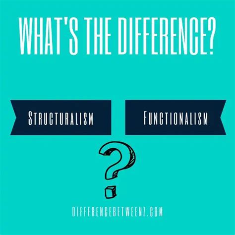 Image result for Structuralism Vs Functionalism Explained