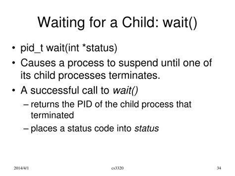 Orphan Process Example 的图像结果