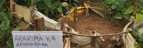 How a nutrition programme is helping a Rwanda village overcome malnutrition