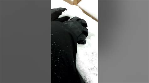 Image result for Snow Window ASMR