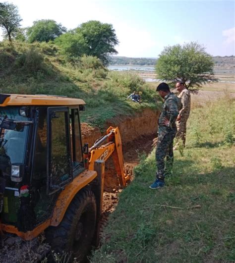 Chambal Sanctuary: वीरपुर के बाद रघुनाथपुर और मानपुर क्षेत्र में ...