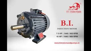 Induction Motors | B.I. Motors & Pumps