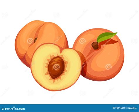 Peaches Cartoons, Illustrations & Vector Stock Images - 34228 Pictures to download from ...