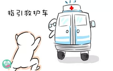 杭州120急救车今起打表收费·都市快报_962120资讯