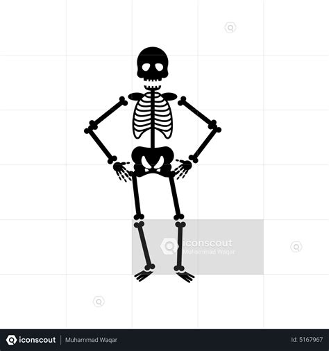 Image result for JSON Skeleton