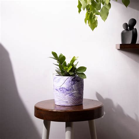 Frond-Cement finish-Leaf Imprint Planter, features an Embossed Leaves ...