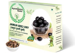 Ayurdaanta Herbs Jamun Beej Dry 100Gr|Dried Jamun Seeds|Black Plum ...