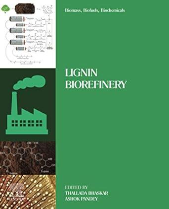 Buy Biomass, Biofuels, Biochemicals: Lignin Biorefinery Book Online at ...