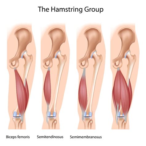Runners: How to Treat & Prevent Hamstring Pain | Performance Health
