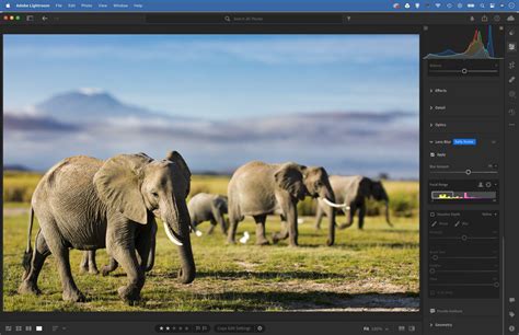 Image result for Faster Image Editing Suggestions Using Ai