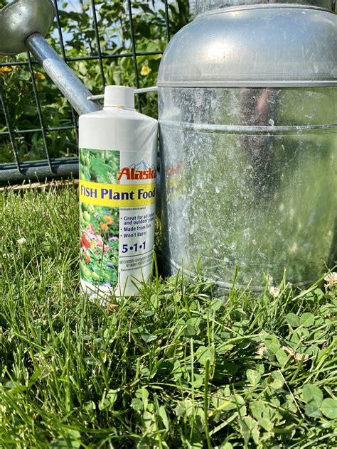 Best Organic Fertilizers for Gardening - Heirloom Grown