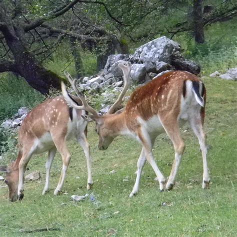 Centro Visita Daini (Scanno) - All You Need to Know BEFORE You Go