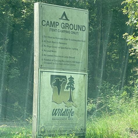 Tunica Hills WMA Campground Camping | The Dyrt