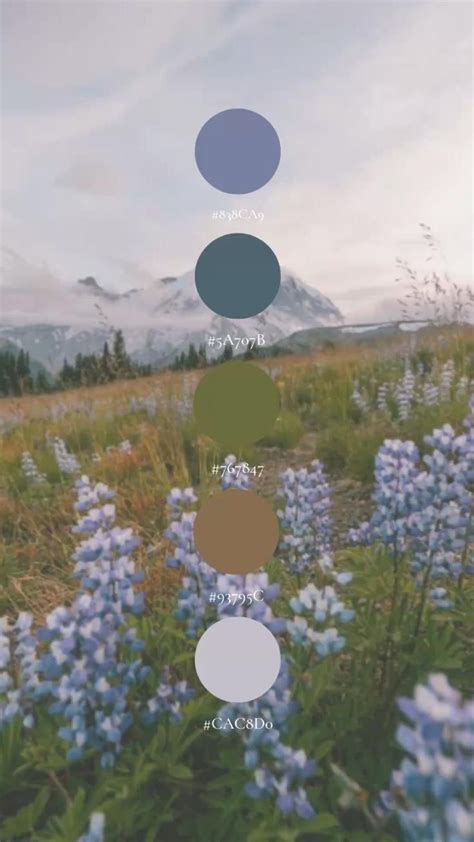 Hex Color Code 的图像结果