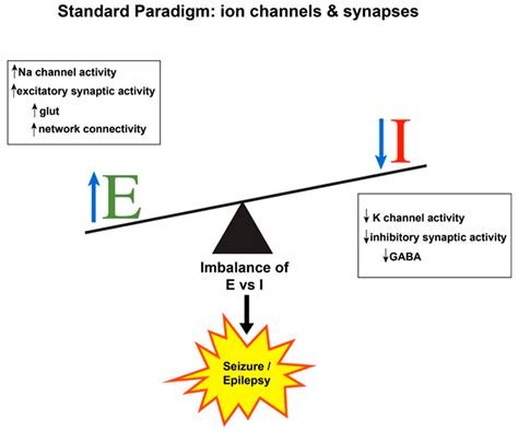 Pediatric Epilepsy Mechanisms: Expanding the Paradigm of Excitation/Inhibition Imbalance