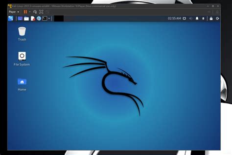 Image result for Install Kali Linux VMware