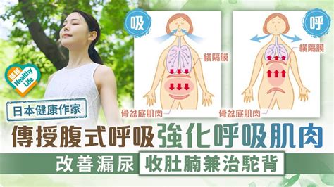 腹式呼吸｜日本身體分析師傳授腹式呼吸強化呼吸肌肉 改善漏尿收肚腩兼治駝背 - 晴報 - 健康 - 呼吸道疾病 - D220802