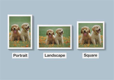 Choosing a Book Orientation: Portrait vs Landscape vs Square - Page 2 ...