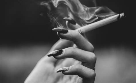 Do Cigarettes Expire? The Shelf Life of Cigarettes | Saucey