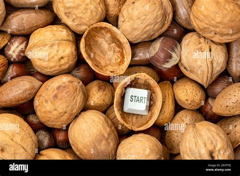 Image result for Shell Start Button