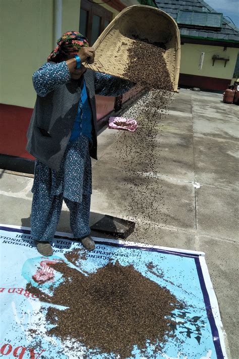 Himalayan Research Group : Shimla ( H.P. )