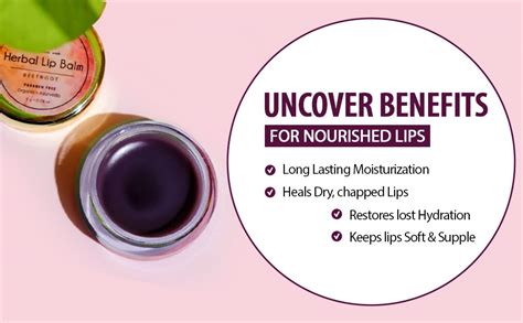 Buy TNW-THE NATURAL WASH Herbal Beetroot Lip Balm For Dry Damaged and ...