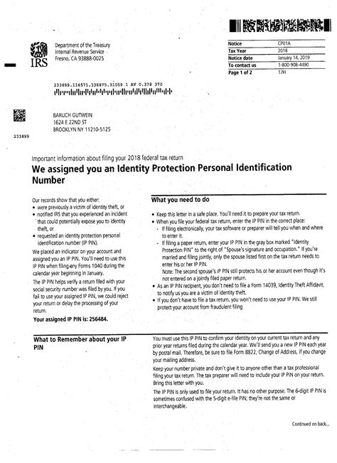 IRS PIN BM GUT - Senior Care Therapy