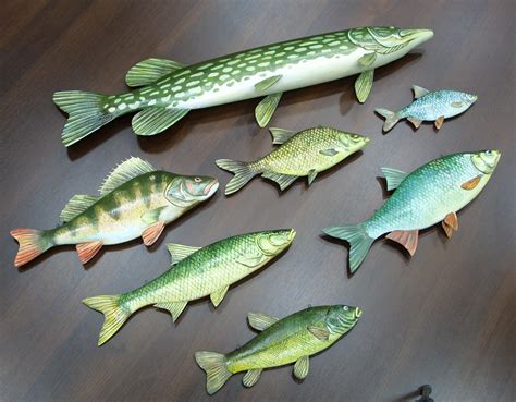 Rare ‘Pocket Shark’ Able to be Studied With 3D Printed Model | 3DPrint ...