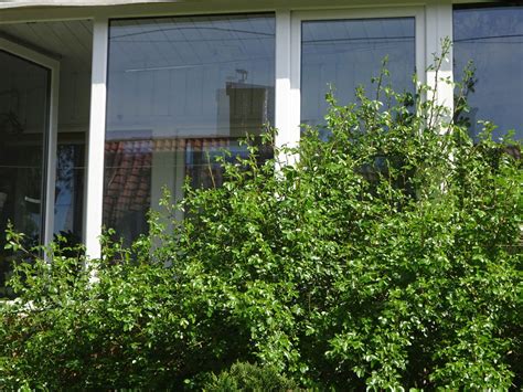 Image result for PVC Window Installation