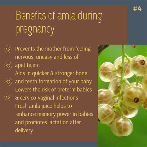Pin on Benefits Of Eating Amla During Pregnancy