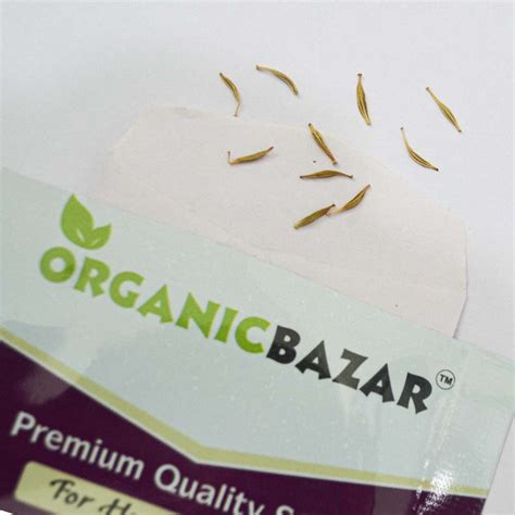 Buy Best Quality Gerbera Micro Mini Mixed Color Seeds