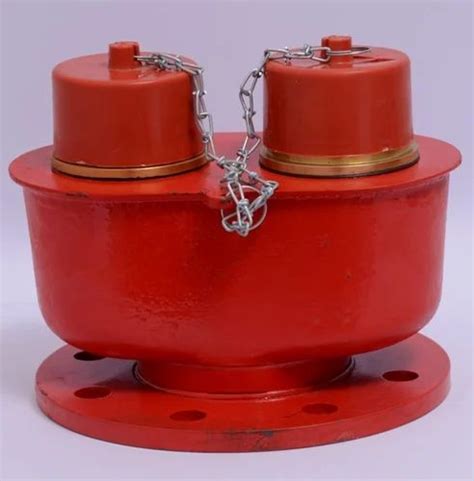 Image result for Fire Brigade Inlet Connection