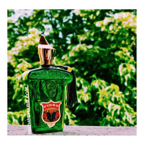 Casamorati Fiero Eau De Parfum For Men – FridayCharm.com