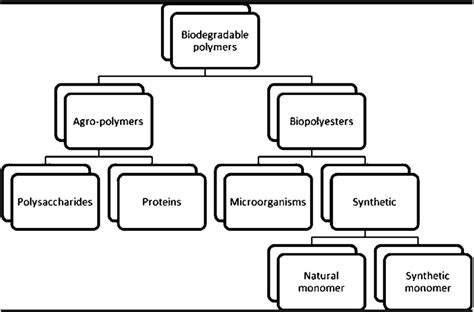 Image result for Biodegradable Polymer Structure