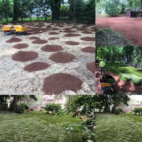 How to Mulch Beds 的图像结果