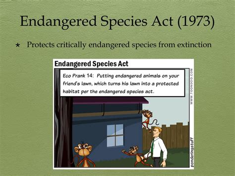 Legislation of Environmental Protection 的图像结果