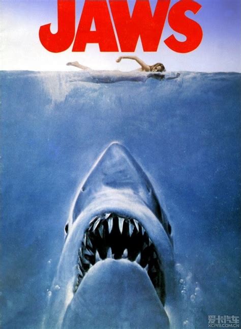 大白鲨4：复仇-电影-高清视频在线观看-搜狐视频