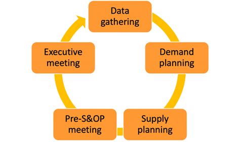 S&OP Process 的图像结果