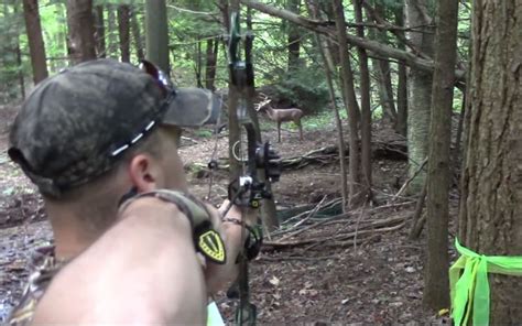 Archery 的图像结果