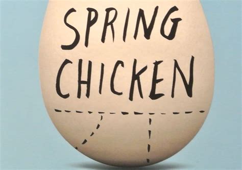 Image result for Spring Chicken Sing and Sign