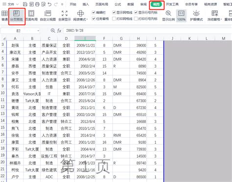 Creating View On Table Data in WPS Spreadsheet 的图像结果