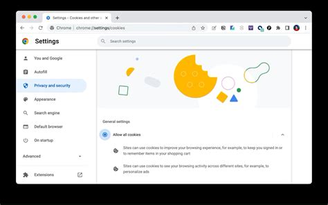 How Do You Enable Cookies On Your Browser | Robots.net