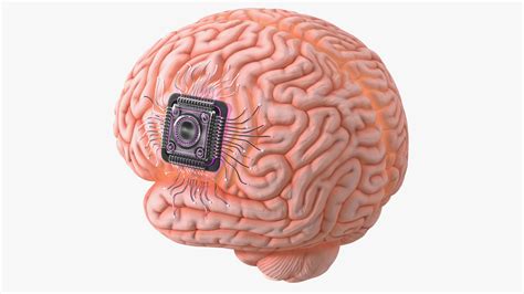 3D model Human Brain with Microchip Implant with Light | 3D Molier ...